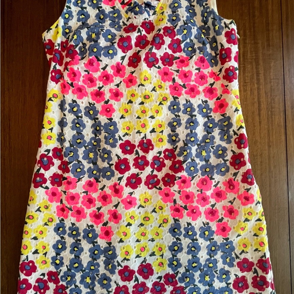 Talbots Floral Ruffle-Neck Eyelet Dress size 6 petite